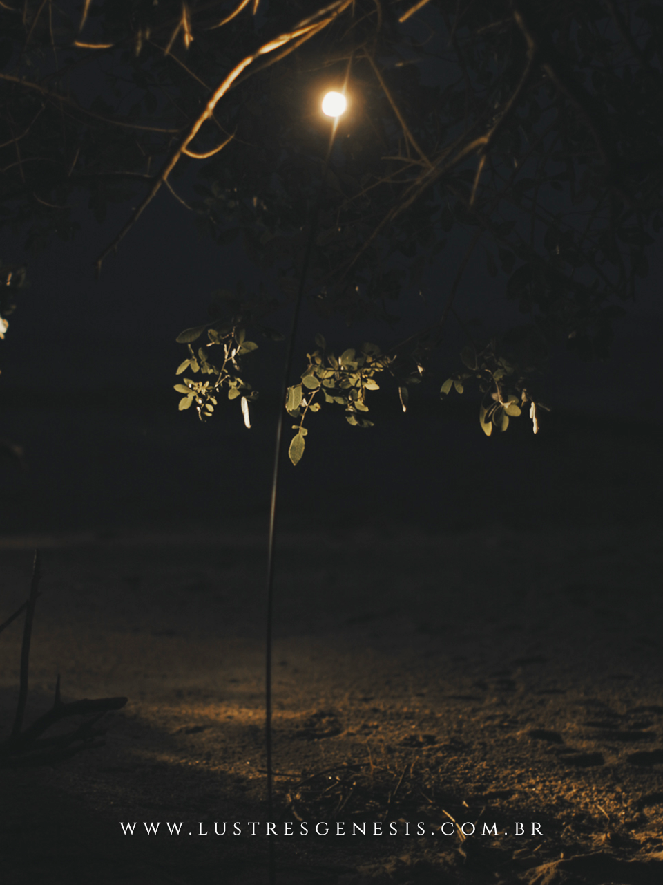 Luminária Espeto de Jardim Capim II Waldir Junior de 70cm com LED integrado sendo segurada por uma pessoa em ambiente escuro, ideal para iluminação sofisticada de áreas externas e jardins.